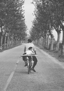 Provence, 1955 - Limited edition print accompanying the Elliott Erwitt book Snaps - © Elliott Erwitt / Magnum Photos