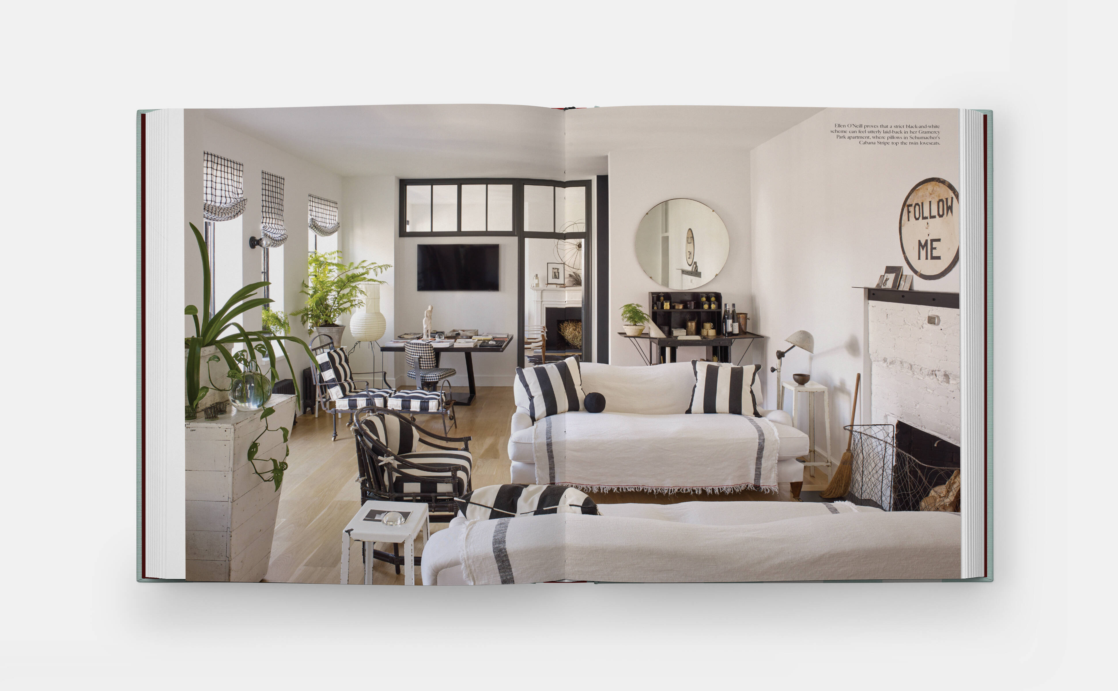 Introducing - Everybody Loves Stripes