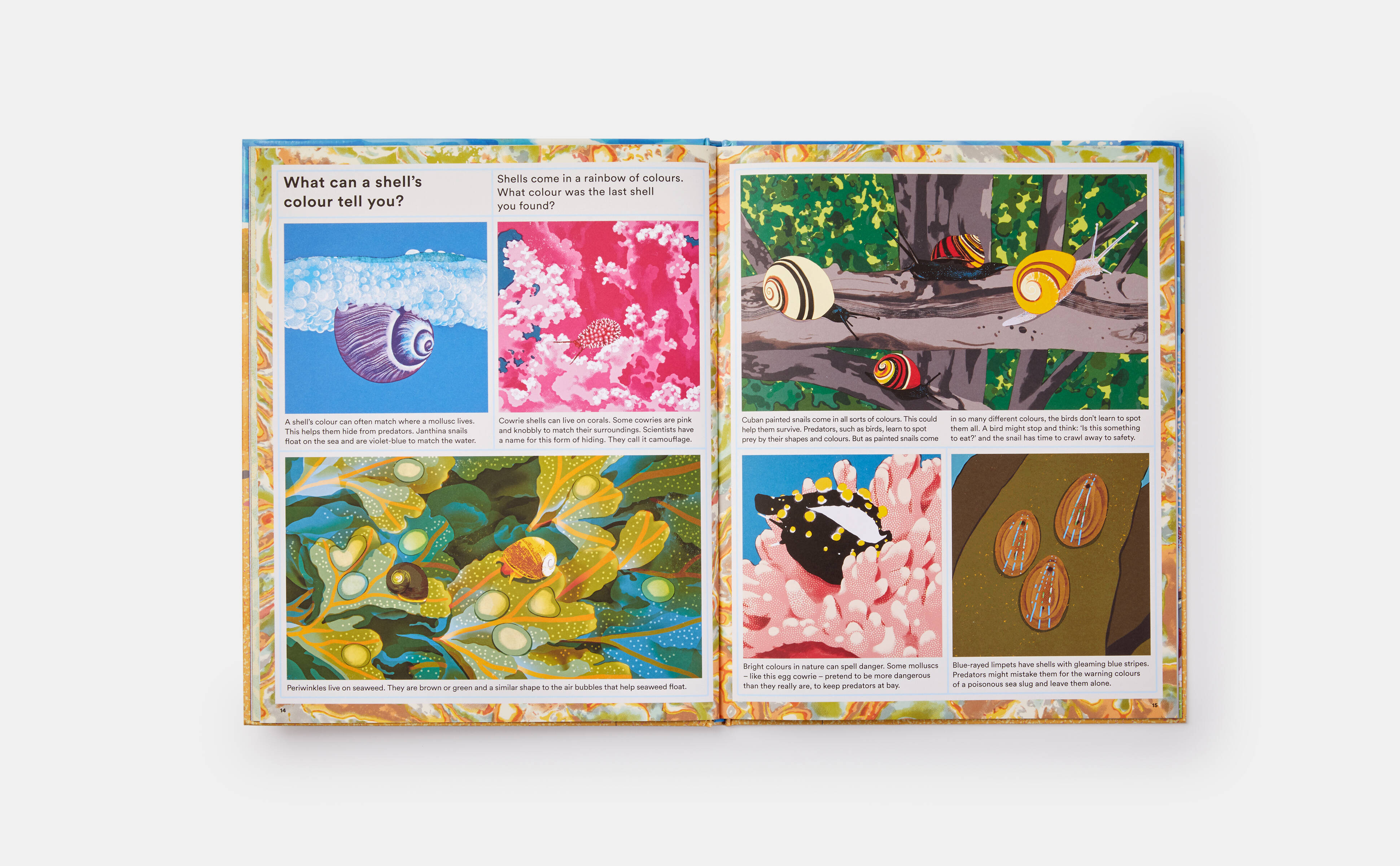 Meet the Phaidon Kids author - Helen Scales