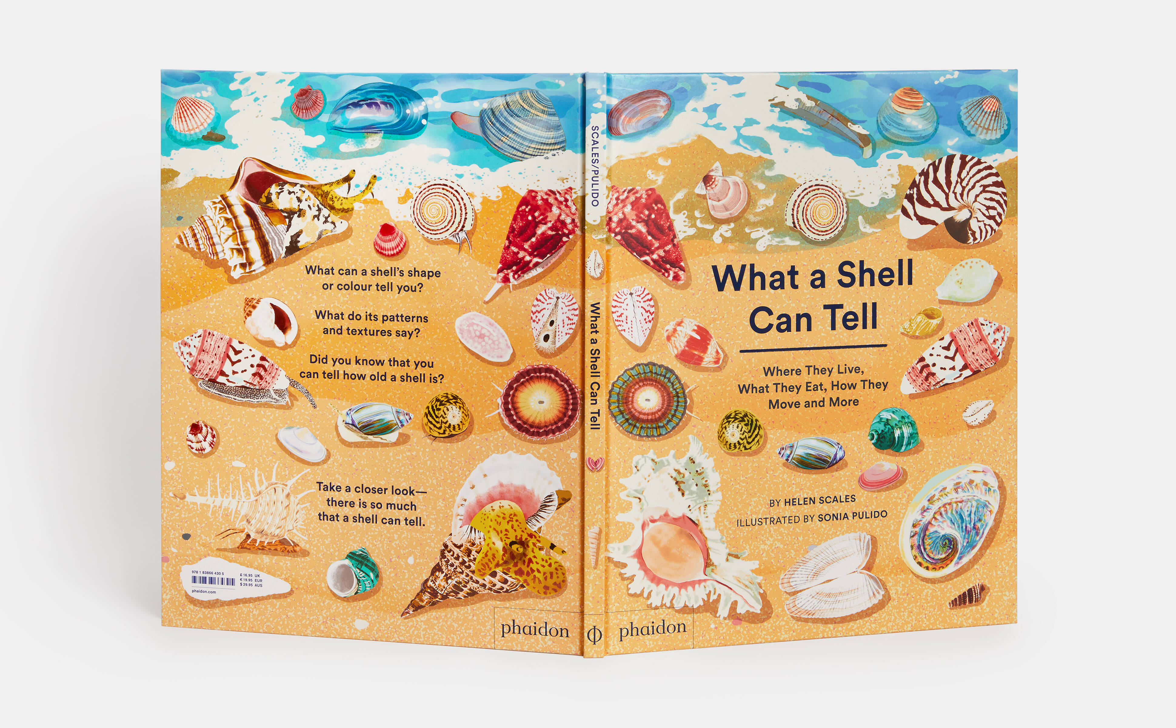 Meet the Phaidon Kids author - Helen Scales