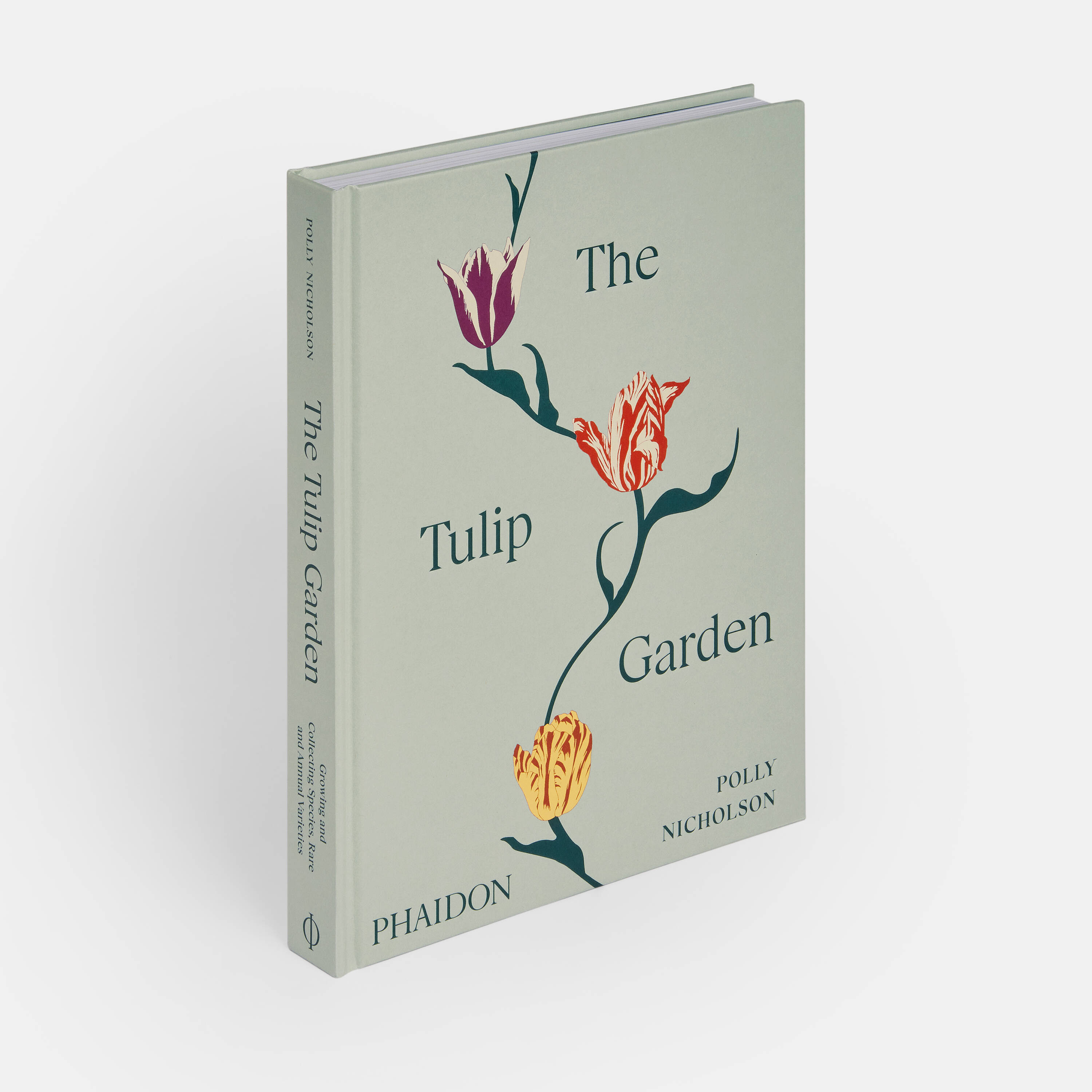 The Tulip Garden author Polly Nicholson interview rough