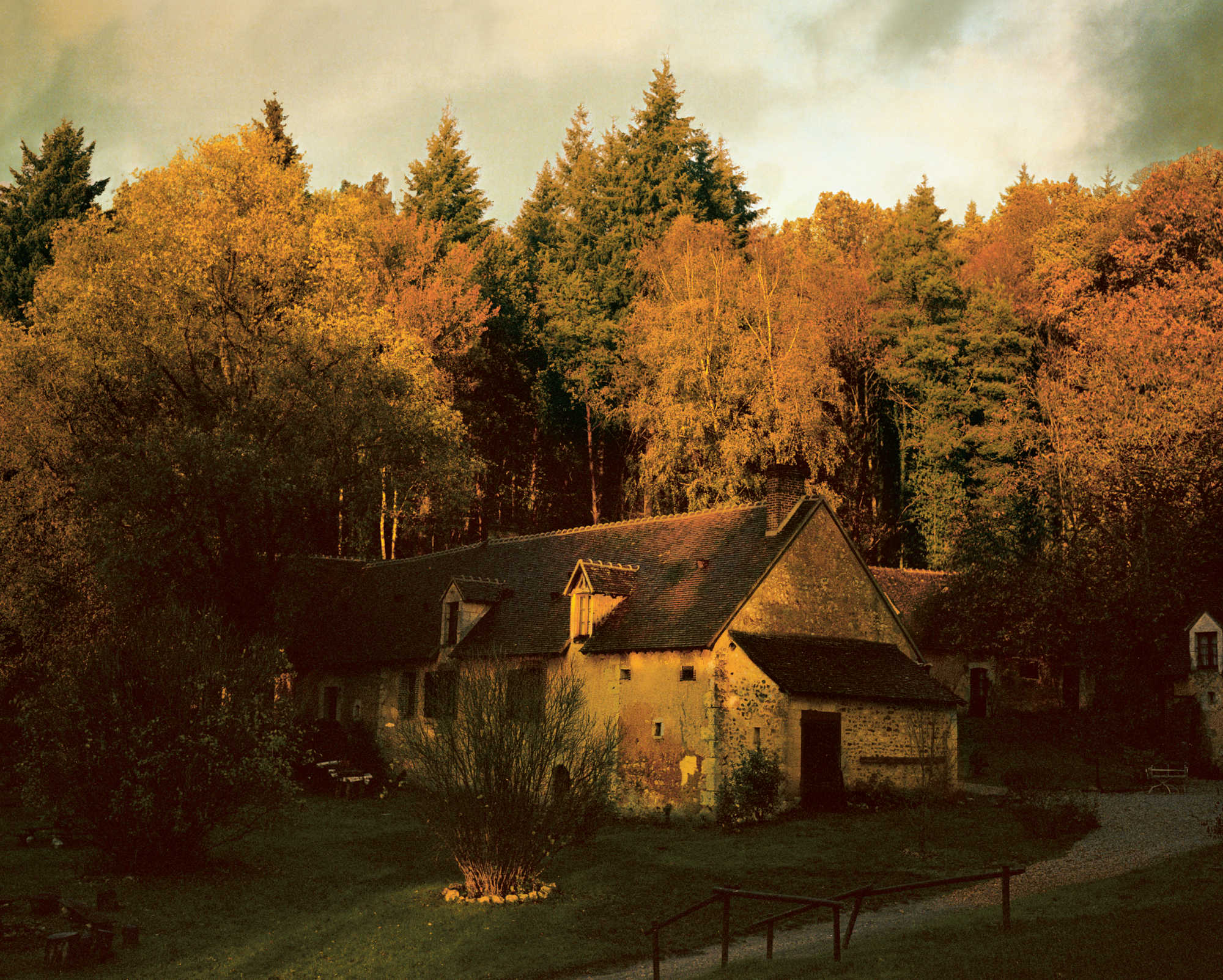 Twilight at D’une île, on the edge of the Bois de Voré in the Parc naturel régional du Perche. Photograph by Alexandre Guirkinger
