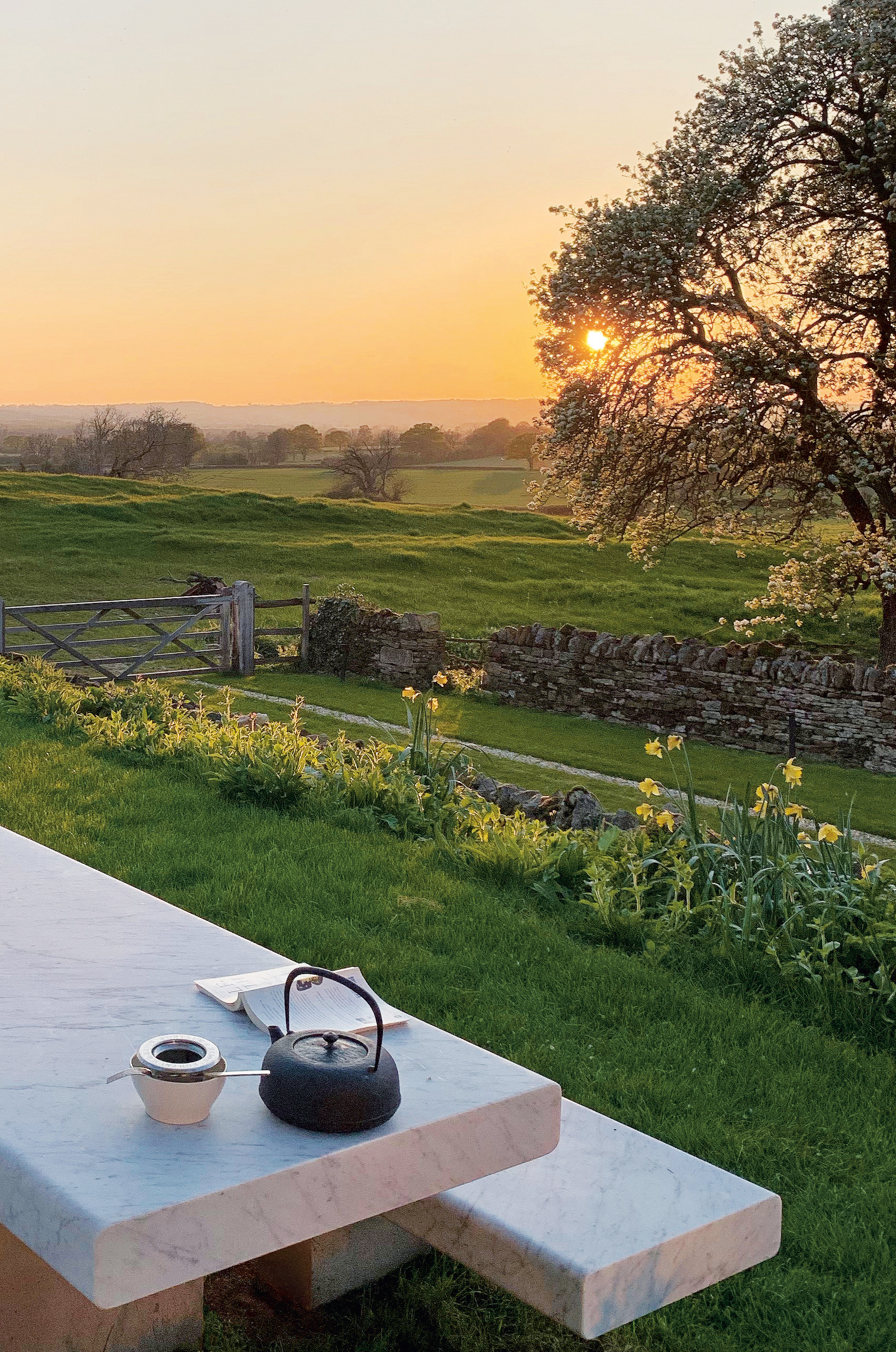 Spring at Home Farm, Oxfordshire, England. All photography by Gilbert McCarragher 