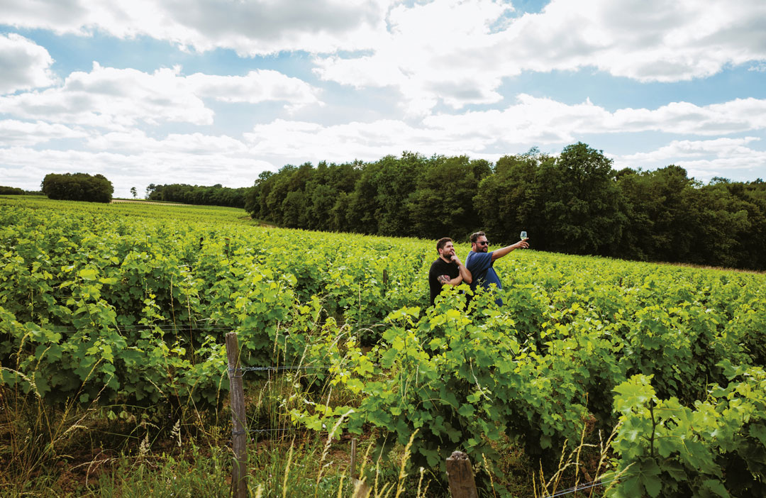 Fabián von Hauske and Jorge Riera check out a vineyard (nice work if you can get it)