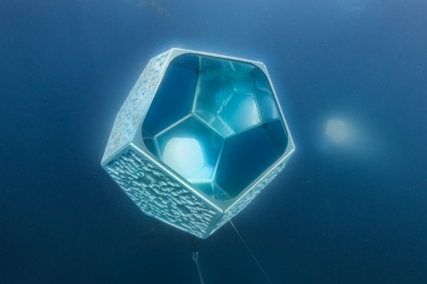 Doug Aitken, Underwater Pavilions, 2016, installation view, Avalon, CA.  Courtesy: MOCA Los Angeles and Parley for the Oceans photo by: Shawn Heinrichs
