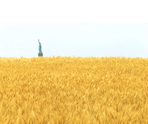 Wheatfield - A Confrontation: Battery Park Landfill, Downtown Manhattan, 1982, by Agnes Denes